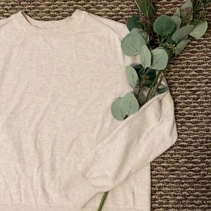 Everlane Oatmeal Organic Cotton Sweater